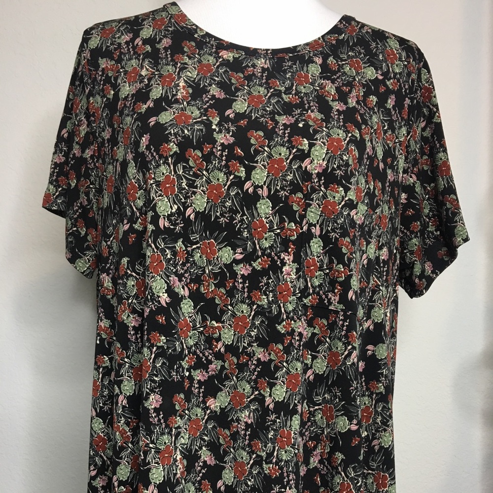 LuLaRoe Carly Dress